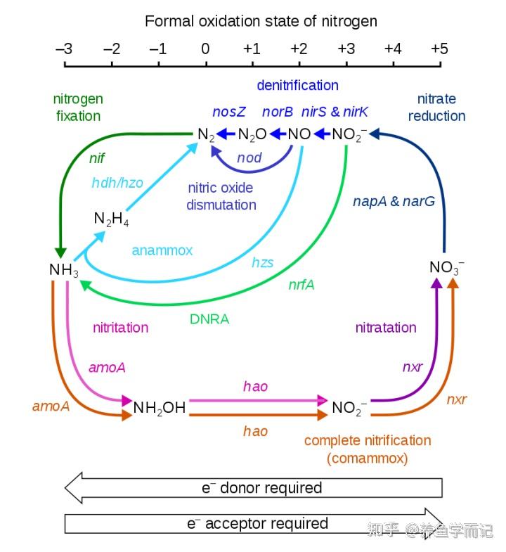 氮的化合物转化关系图图片