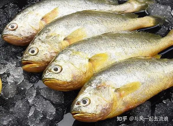杭州人端午节要吃“五黄” - 知乎