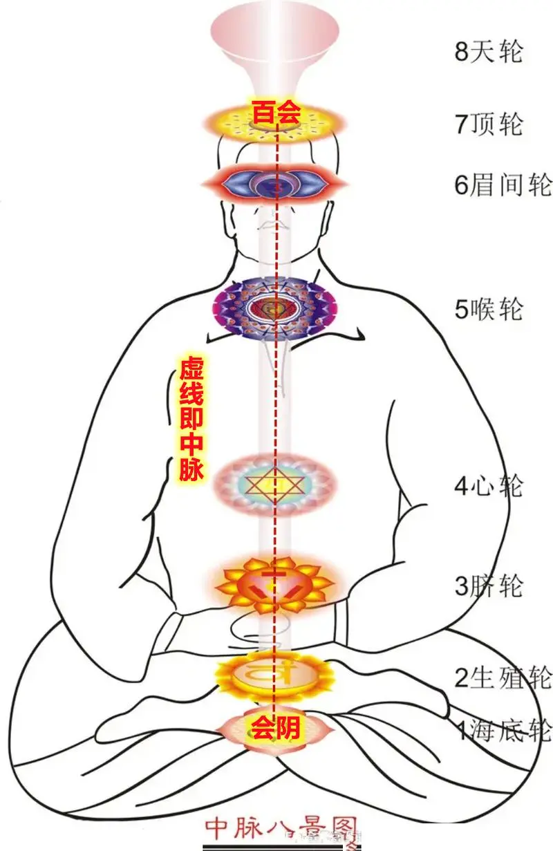 中医人体【中脉】的秘密! - 知乎
