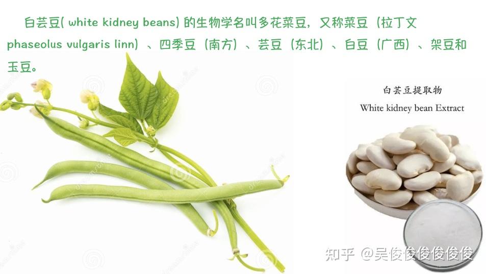 白芸豆是不是智商税?(生物化学解读) - 知乎