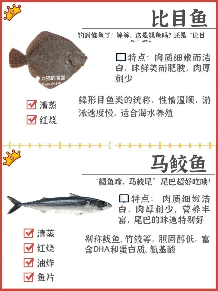 科普:海鱼种类 - 知乎