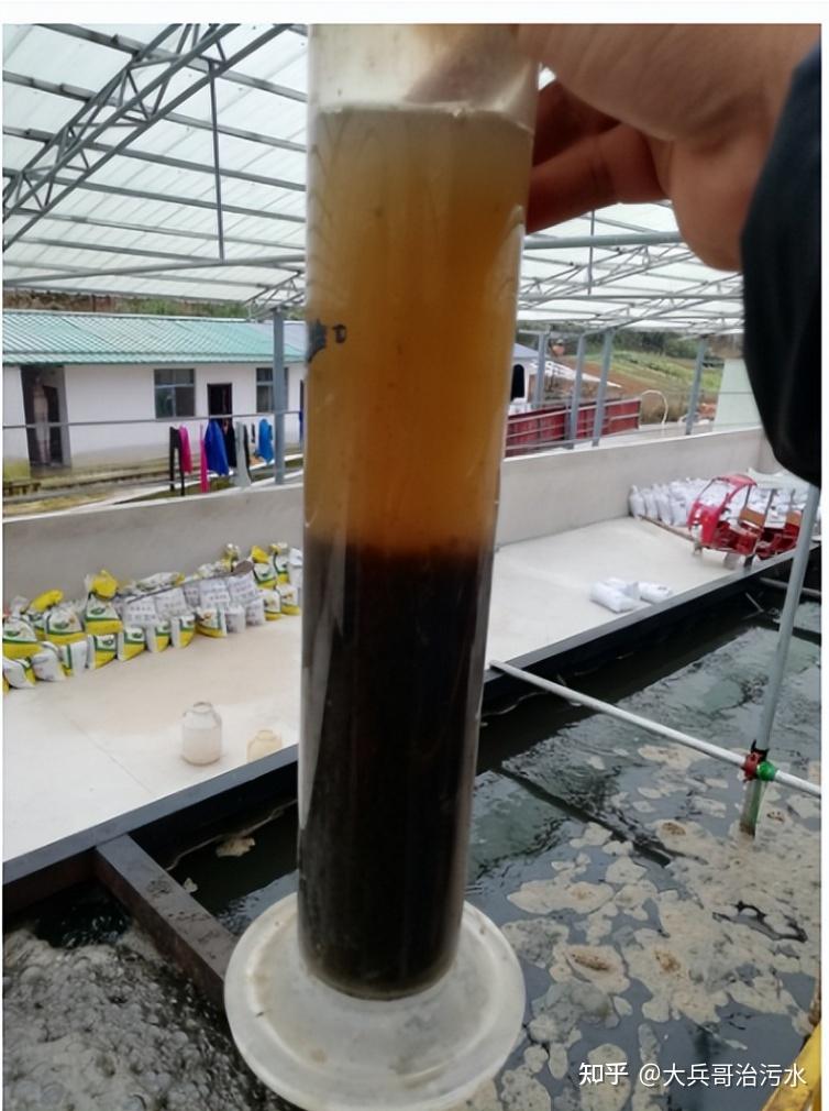 什么是污泥膨胀