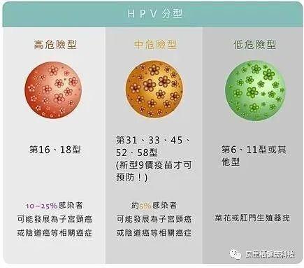 目前已知的hpv型別有200多種,按其致癌性不同可分為高危型與低危型 .