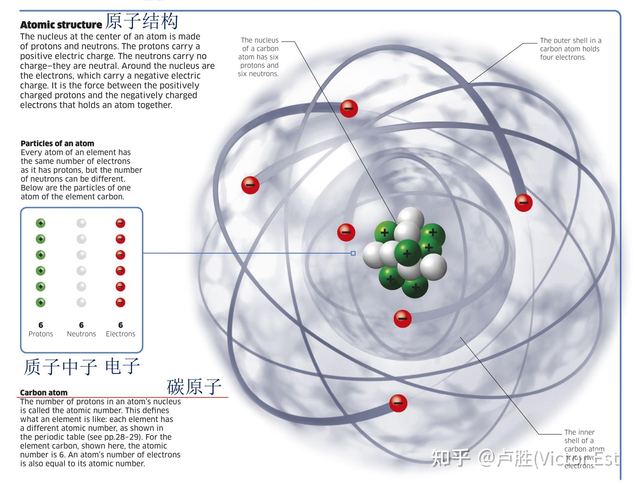 家长乐园：世界上根本就没有难学的语言 知乎 