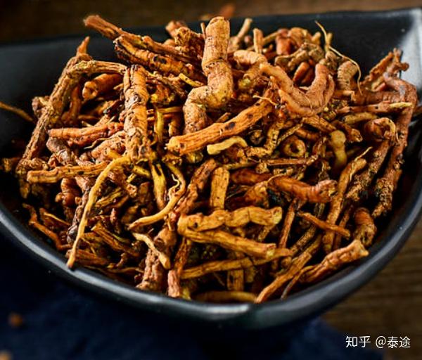 中药远志的功效与作用-远志使用注意事项 - 知乎