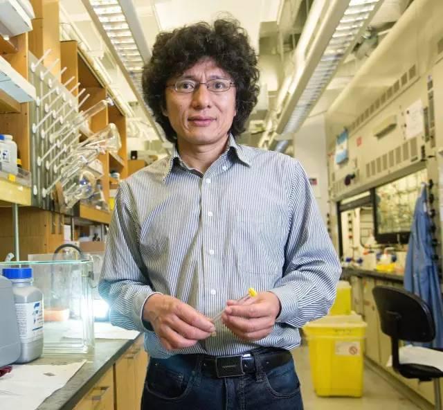 2016年麦克阿瑟天才奖两位华人得主:化学家和