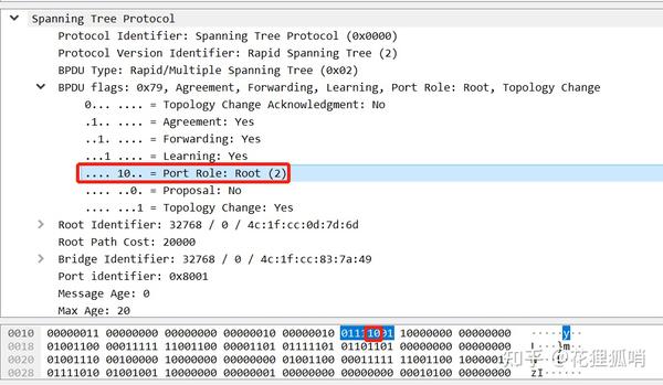 RSTP与STP不同 - 知乎