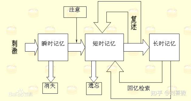 记忆及记忆过程,遗忘及遗忘的规律「心理学了22」 