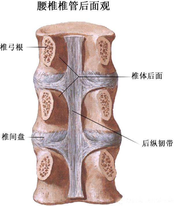 "牵引到底能不能缓解腰椎间盘突出? - 知乎