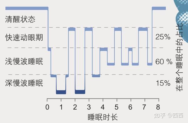 意识与无意识、睡眠与梦 知乎 