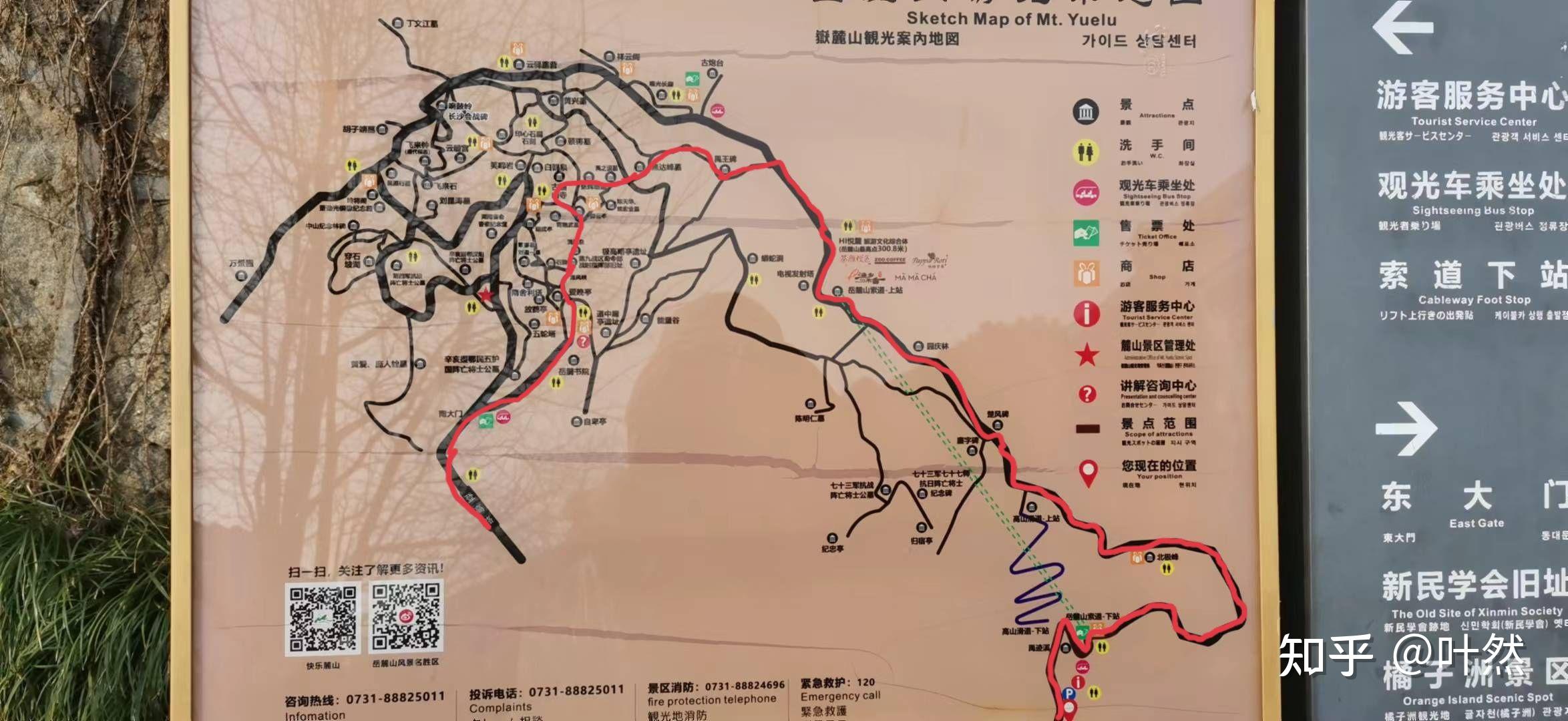 岳麓山景区导游图图片