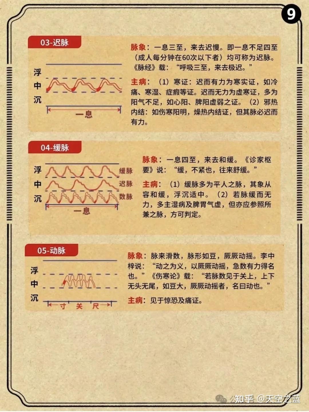 中医把脉原理 - 知乎