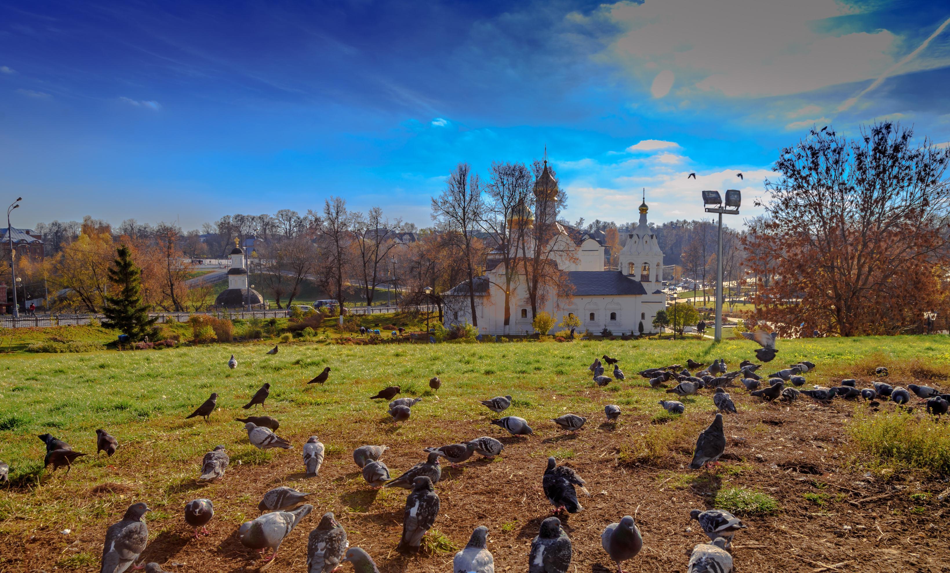 俄罗斯-谢尔盖圣三一大修道院:圣谢尔盖隐修传教事迹【200多幅图】 - 