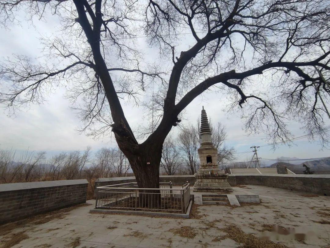 历史文物古迹考察之(北京房山镇江营遗址和镇江塔)