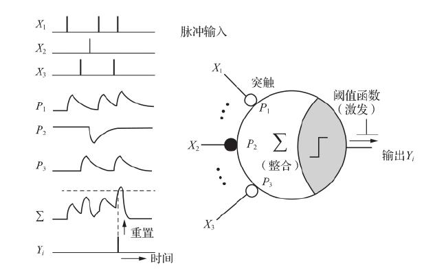 1 snn 中的脈衝神經元模型