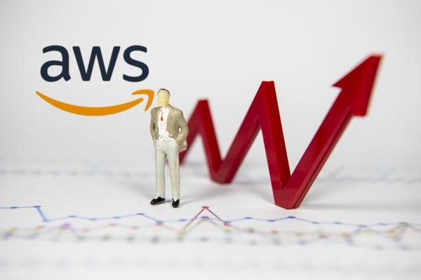 亚马逊物流怎么办 亚马逊物流单号查询 亚马逊图片