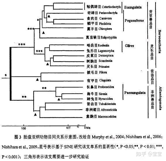 生物进化树整理 - 知乎