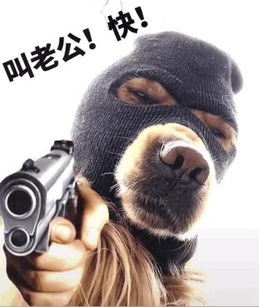 显得既霸气又可爱.额外说明:表情包来自逗比拯救世界.