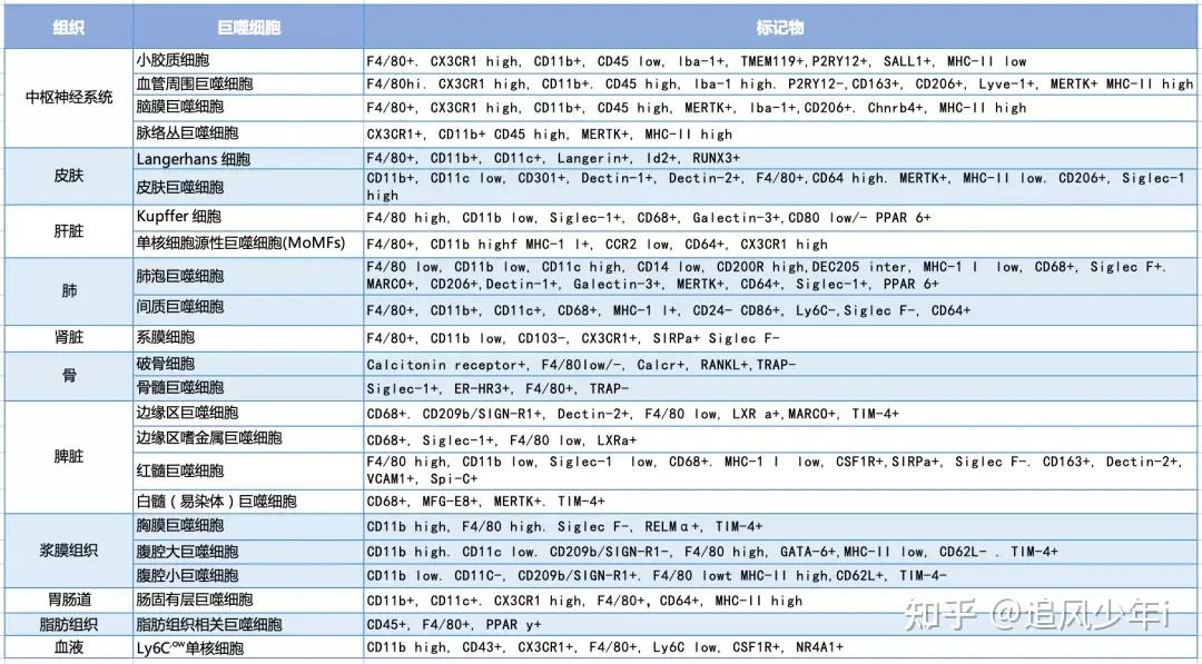 tox 和 entpd1(編碼 cd39)是兩種在腫瘤特異性 t 細胞中上調的耗竭