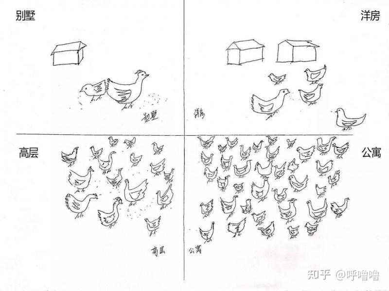 一张图看懂容积率鸡图片