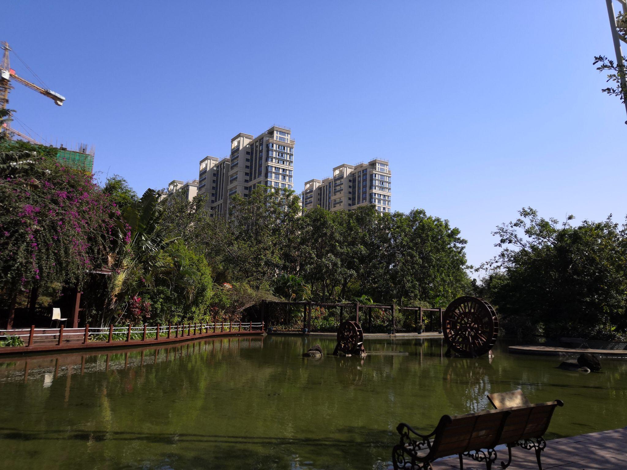 海口长滨路的优美