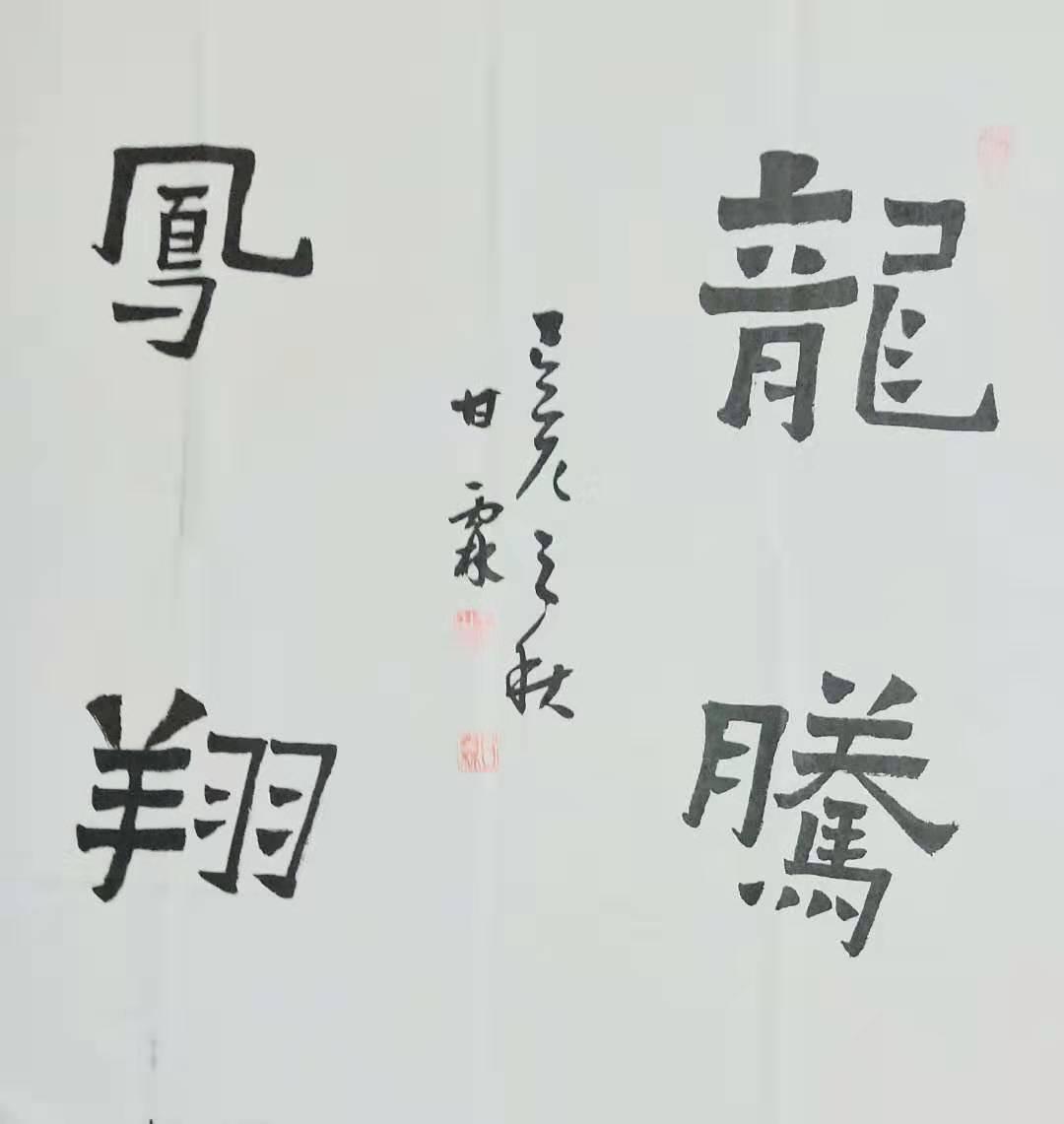 甘霖书艺以情感人用情作书