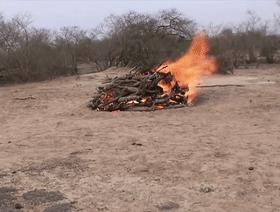 木炭不仅可以烧烤 还推动人类文明前进 本文详细介绍一种古老的木炭制作法 知乎