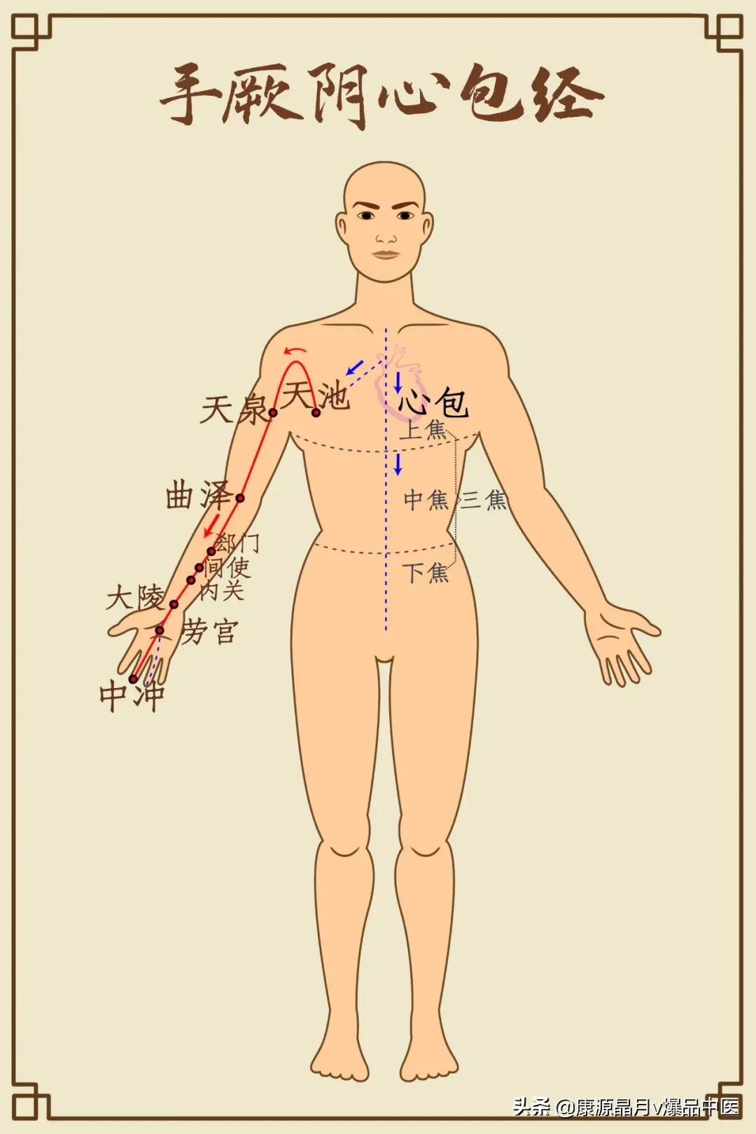 《黃帝內經》:「心主手厥陰心包絡之脈,起於胸中,出屬心包絡,下膈,歷
