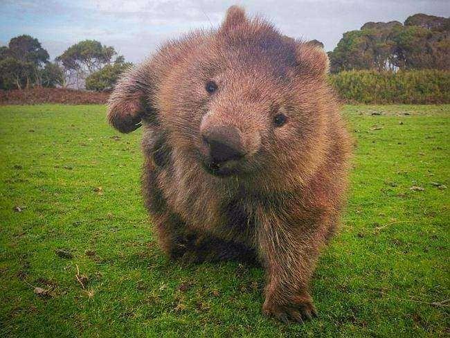 结婚前女友坚决要10万彩礼,一步不退,怎么办?