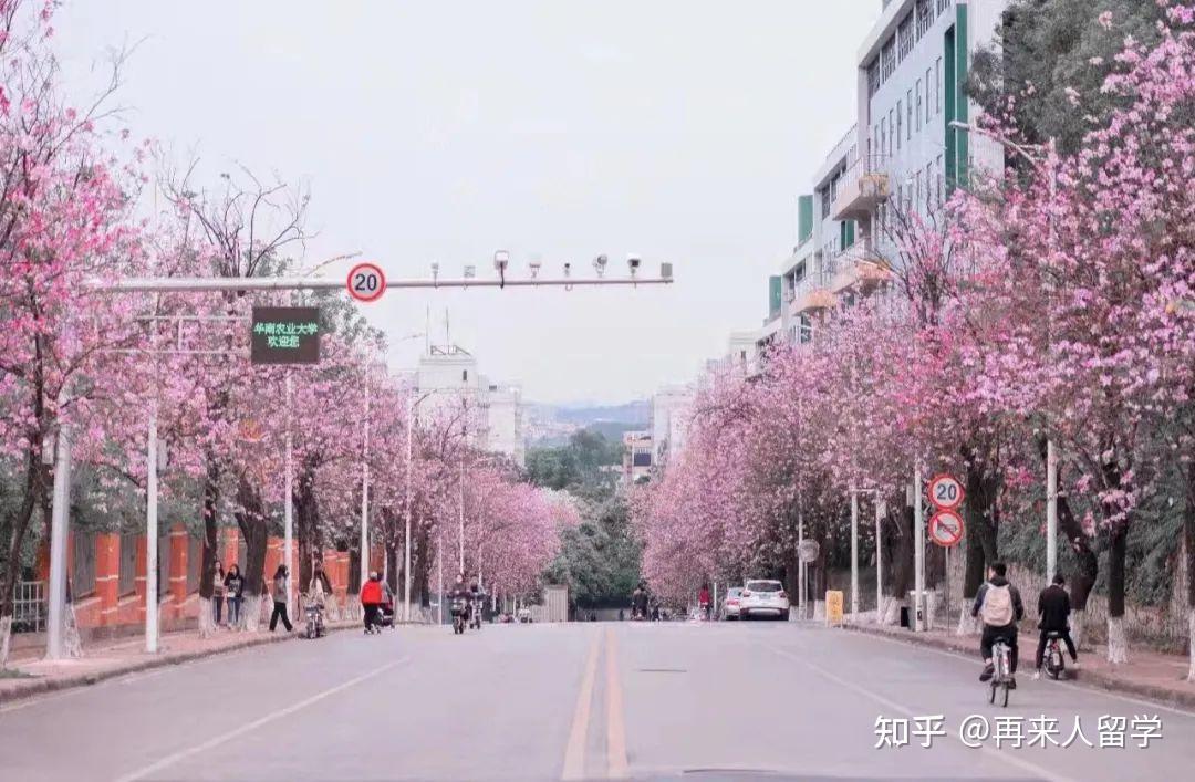 国内本科两年:华南农业大学 - 能源与环境系统工程专业gpa 4.28/5.