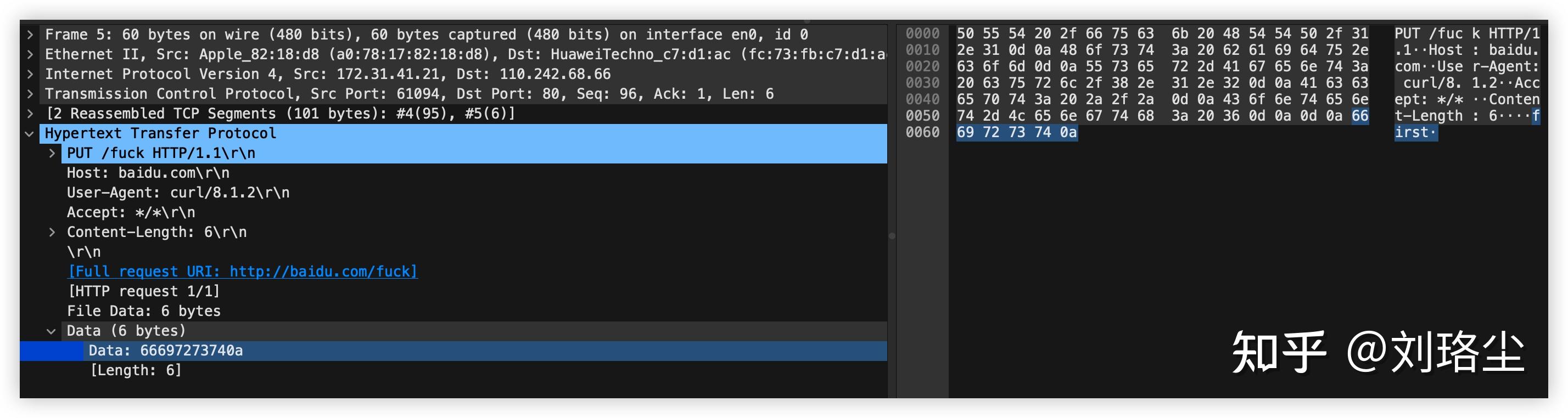 wireshark-curl