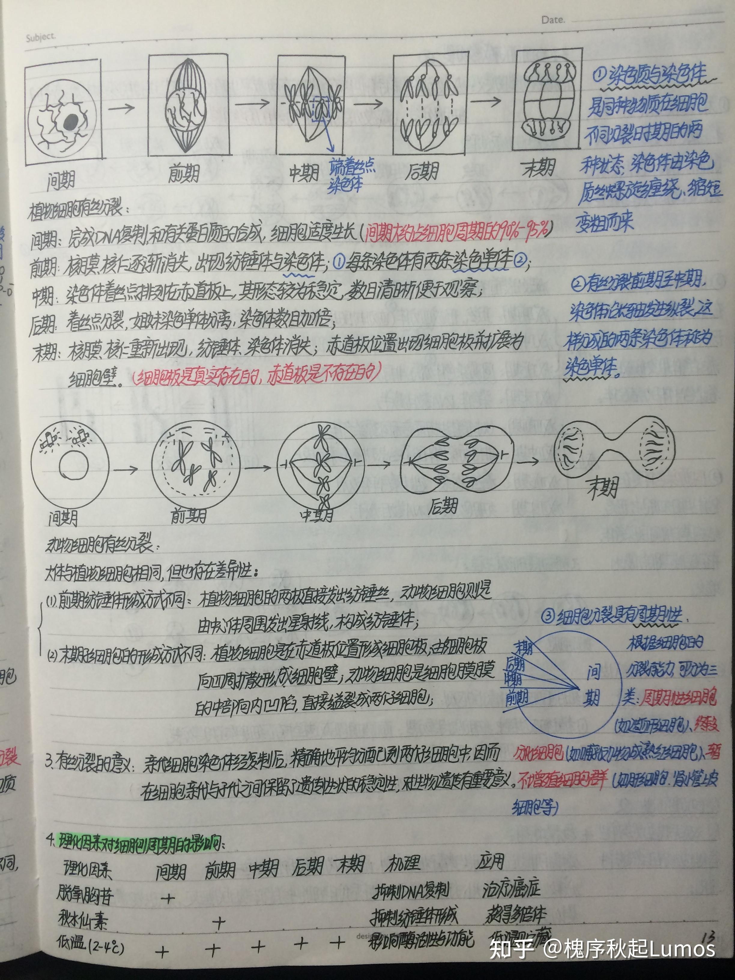 高中生物笔记1 分子与细胞(手写笔记) 