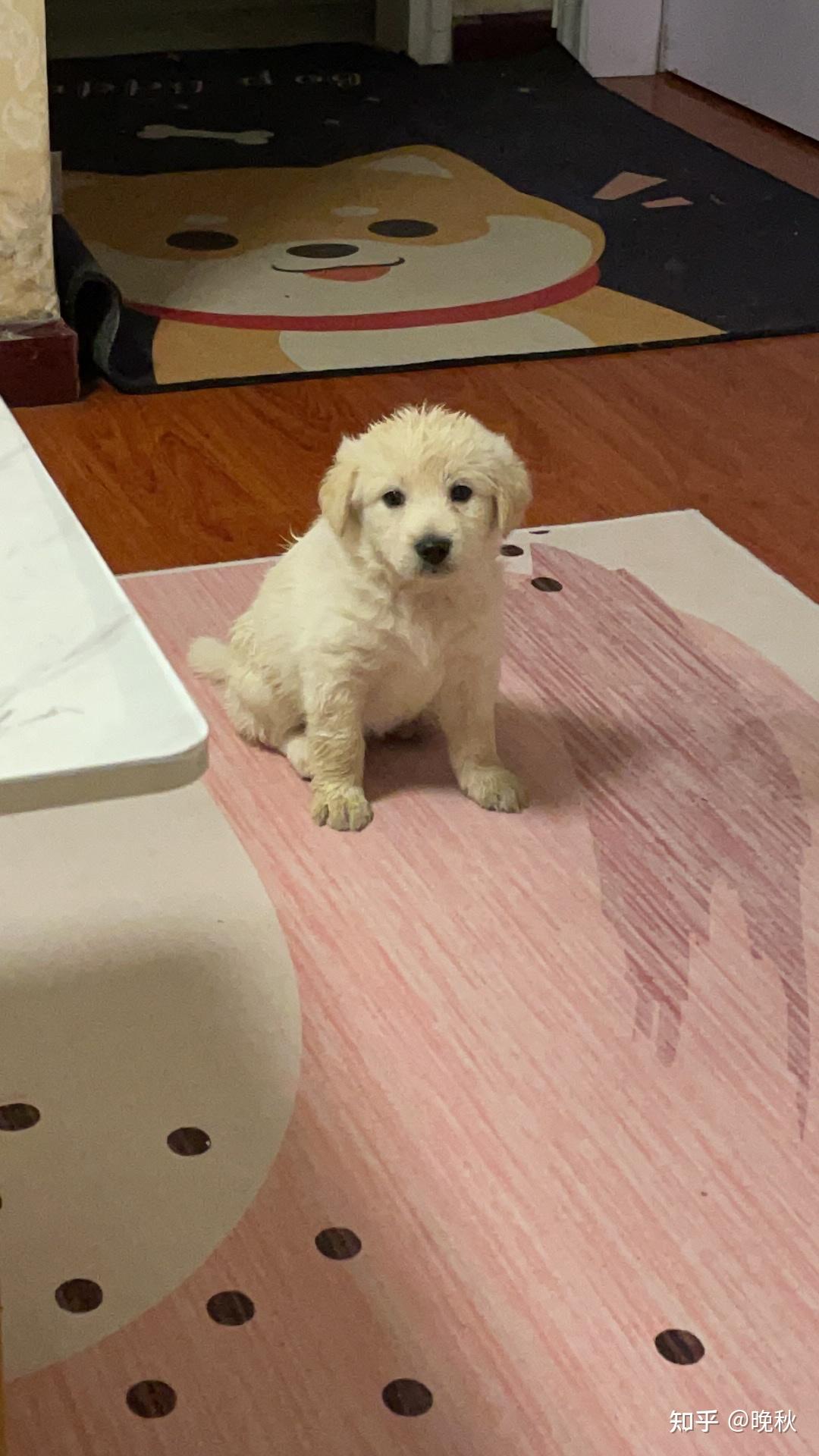 这个是巨贵和什么串的