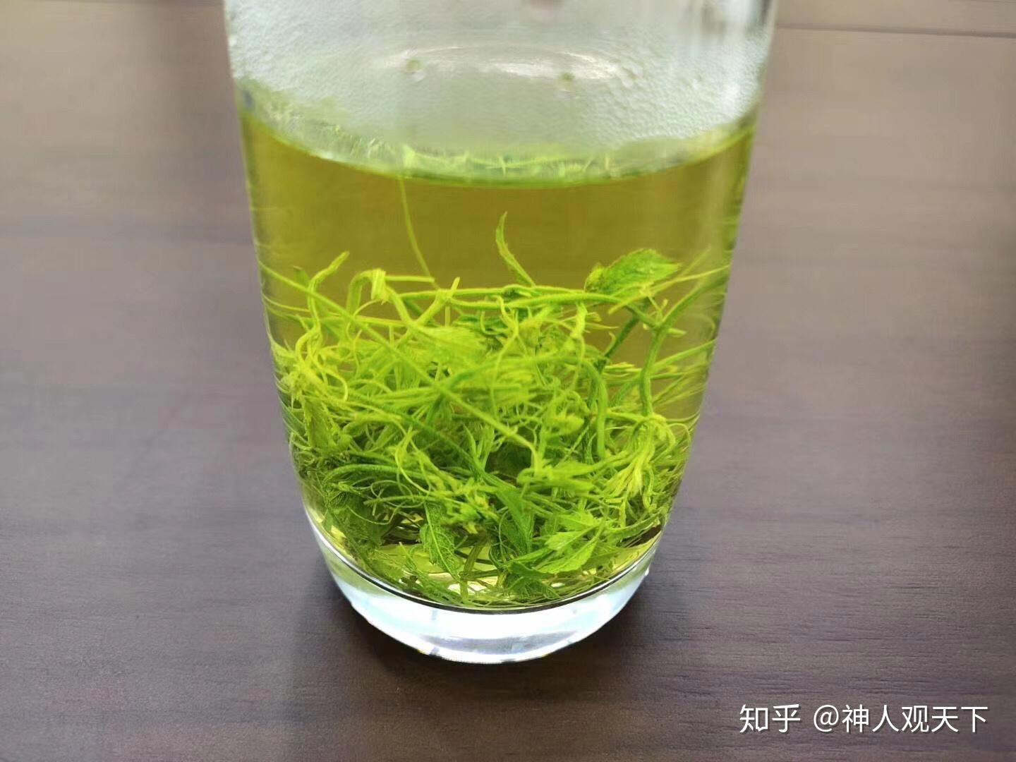 絞股藍茶主要幾個成分和作用