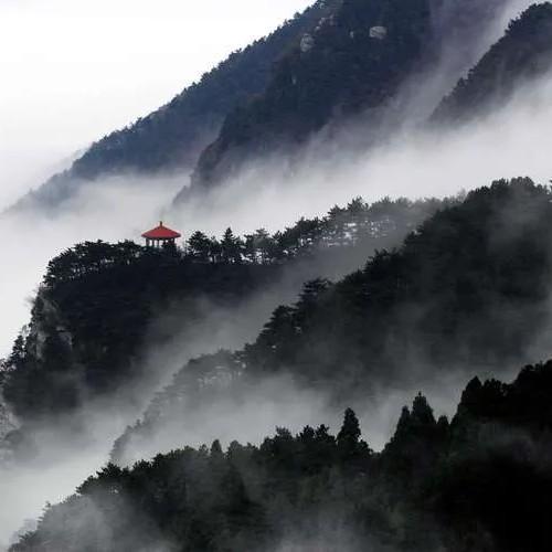蝼蚁点滴