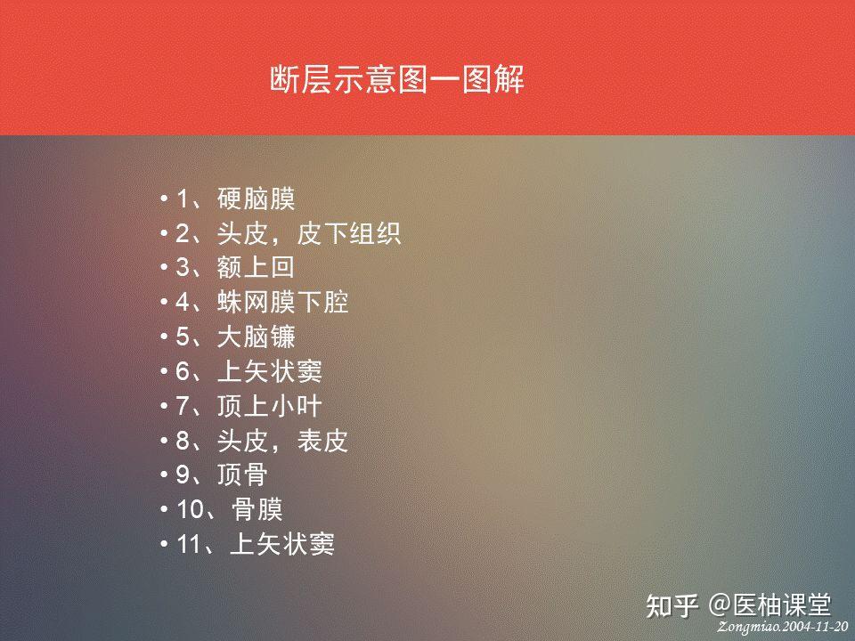 脑功能区及解剖学定位 - 知乎
