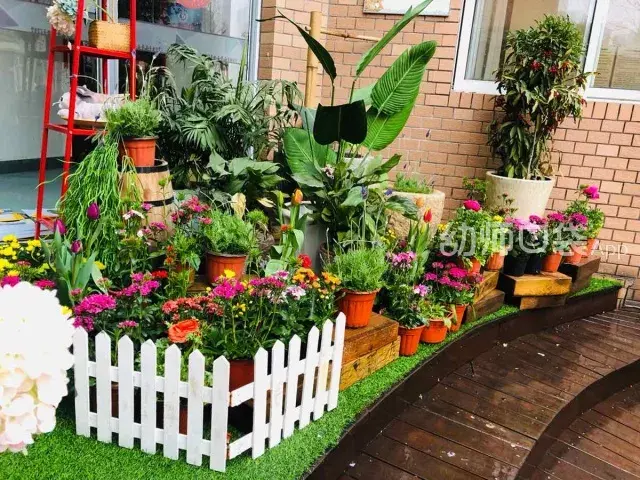 这样打造花园式幼儿园不仅让孩子回归自然连家长都夸太美了