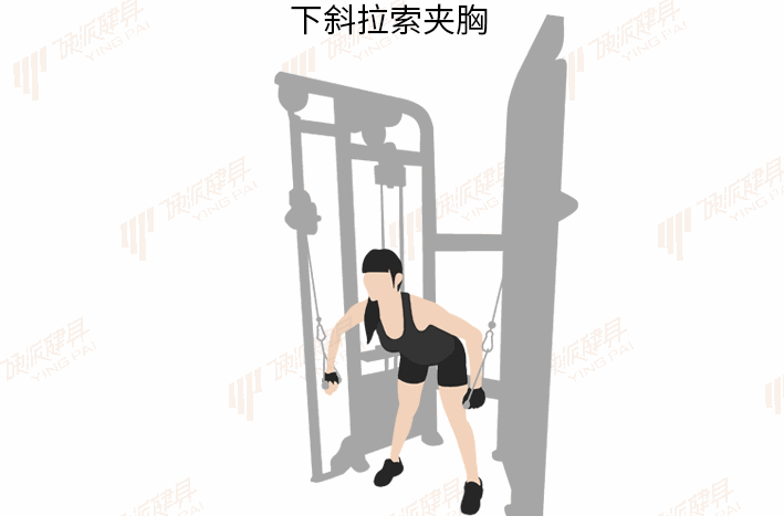 就是对胸肌下部有很好刺激的杠铃/哑铃下斜卧推,拉索/弹力带下斜夹 