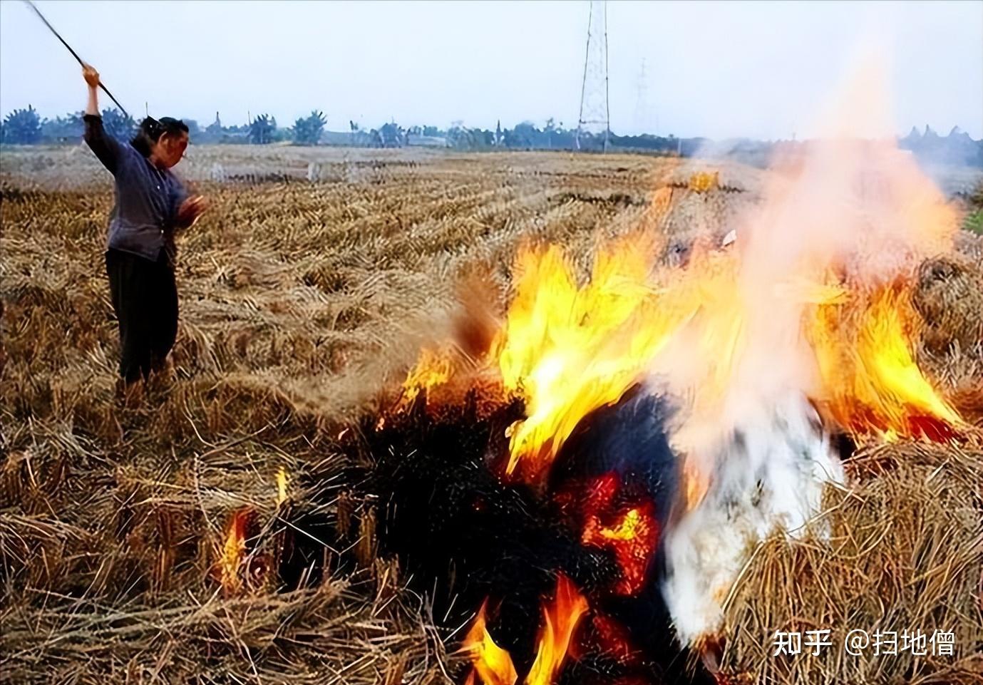 禁烧秸秆有了"反转",又允许烧了?为什么会发生这样的转变? - 知乎