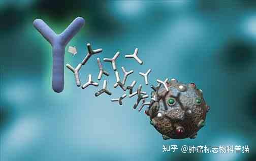 鳞状细胞癌抗原图片