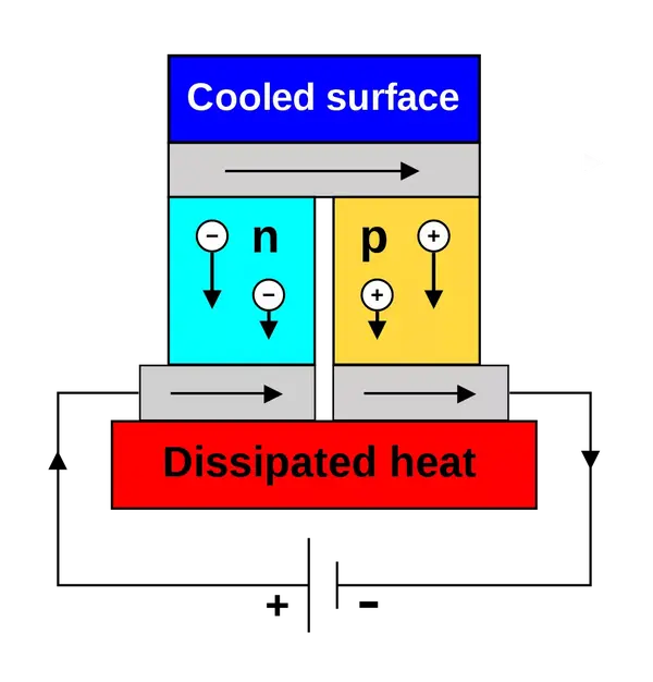 不需要充电就能用几十年的电池竟源自200年前的一个发现