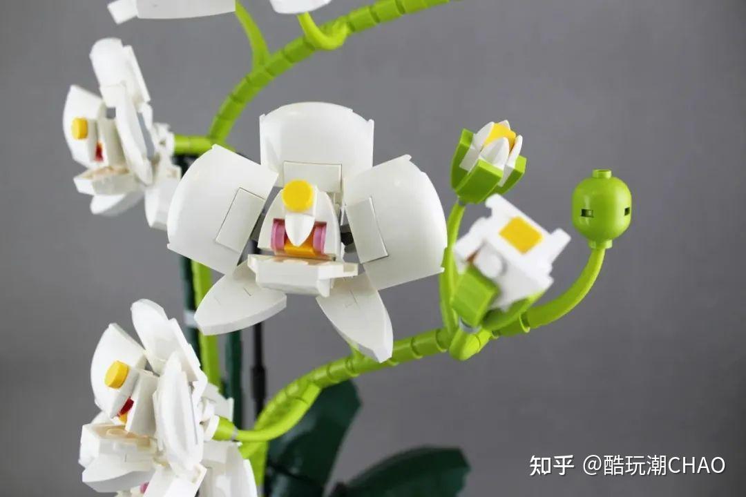 出必买!乐高Ideas作品“兰花”获得10000票支持 - 知乎