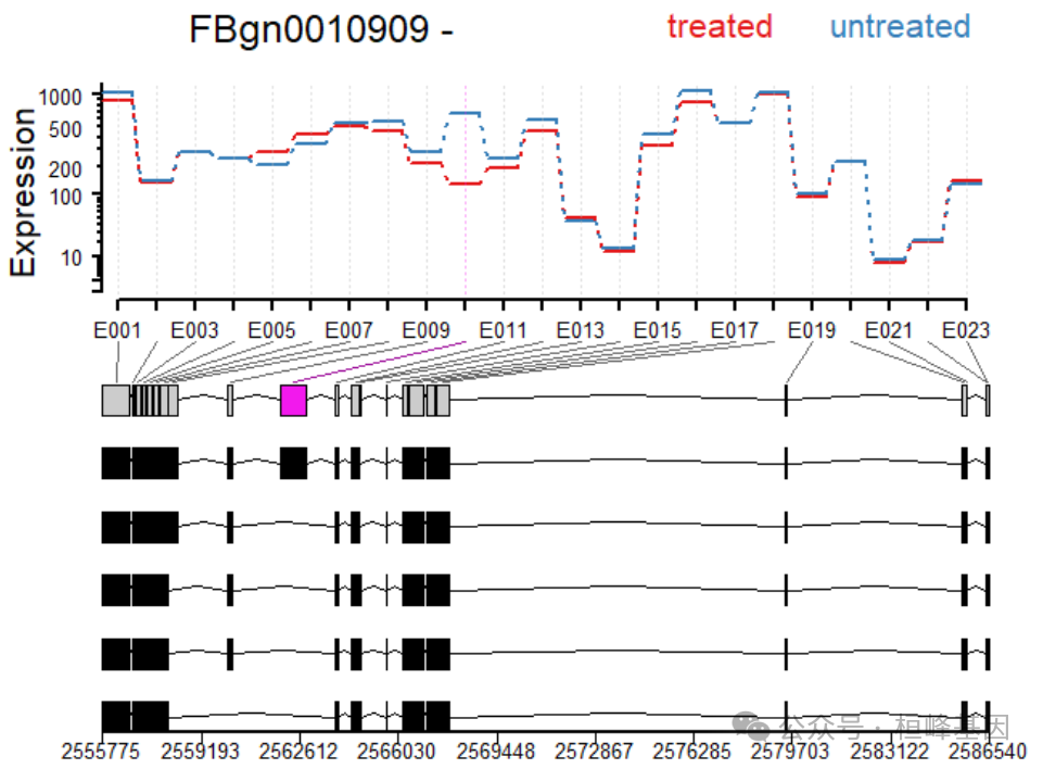 Dexseq RNA 43. 基于转录组的外显子差异分析(DEXSeq) - 知乎
