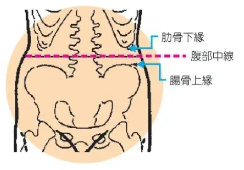 你的腰围超标了吗?