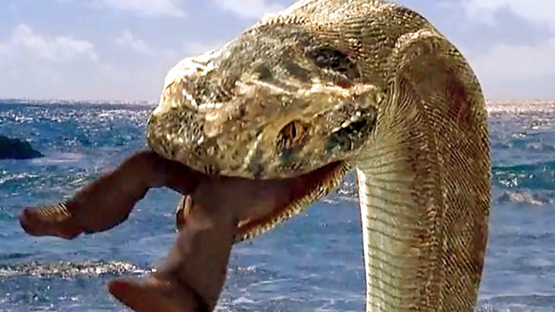 人鱼姑娘剁掉尾巴换上双腿小伙终于如愿以偿魅惑人鱼姬