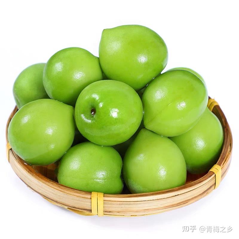 普宁青梅 - 知乎
