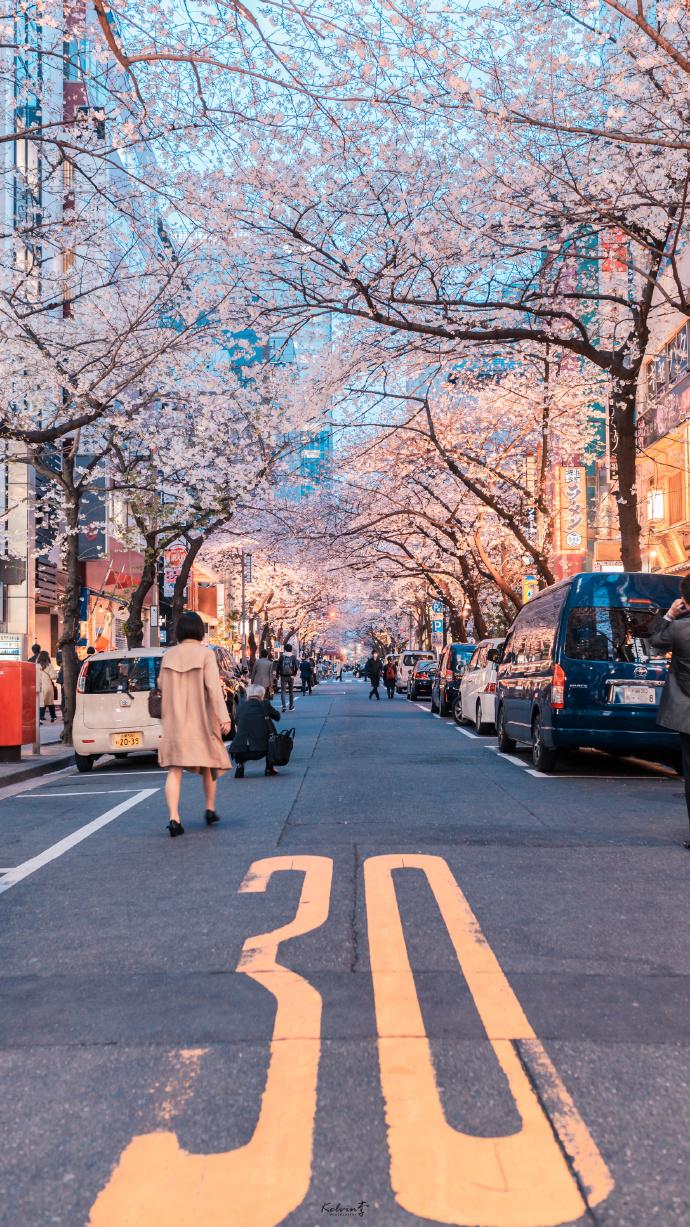 东京站八重洲口