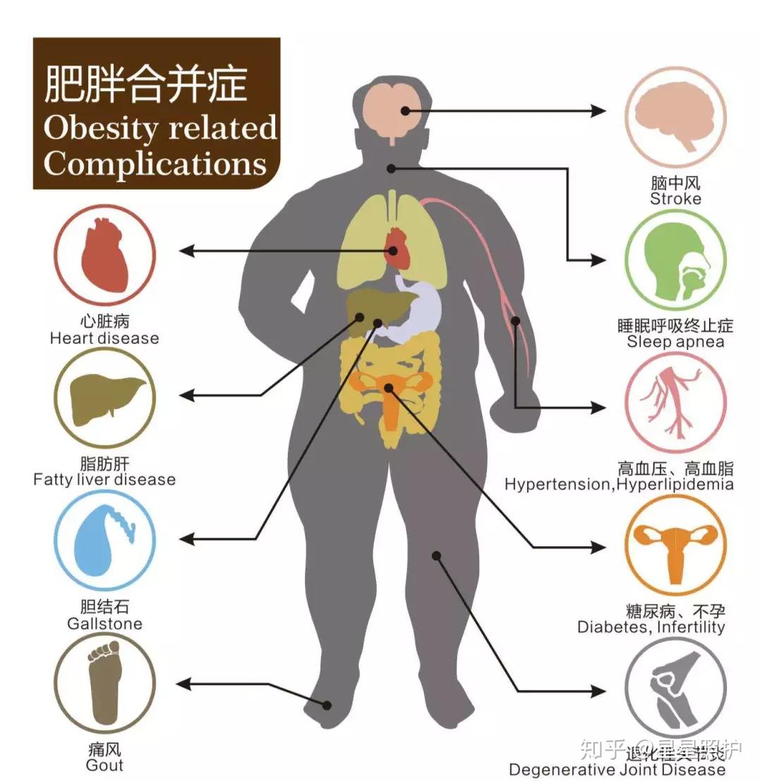 青少年高血压,青少年心理咨询,青少年叛(第16页)_大山谷图库