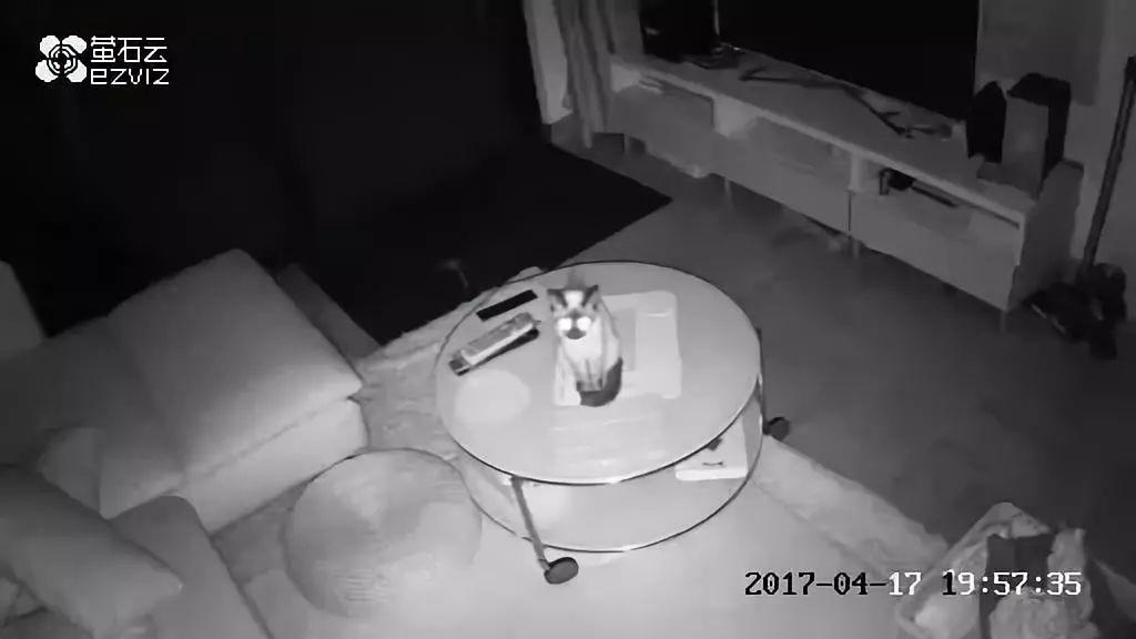 监控拍下独居女孩房间内一幕:有人在等你