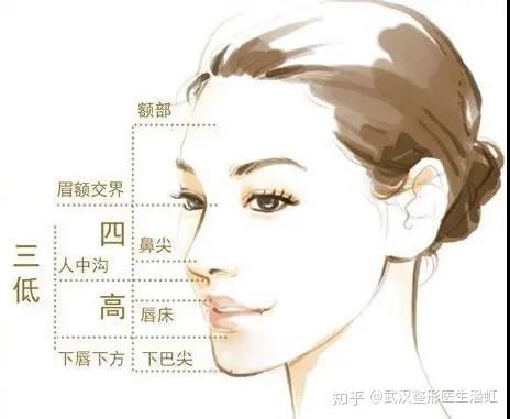 面部五官的美学标准 - 知乎